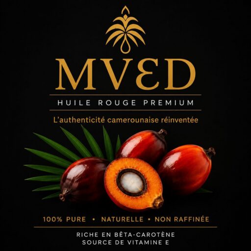 L'origine de MVƐD
